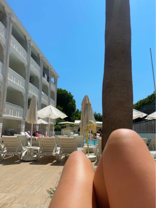 Pool Side Miami Beach