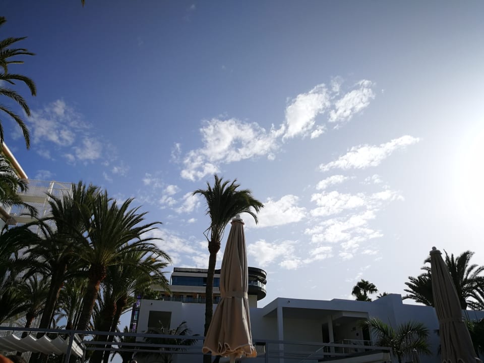 Ausblick Hotel Riu Palace Palmeras