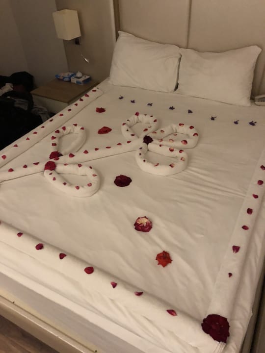 Zimmer Hotel Botanik Platinum
