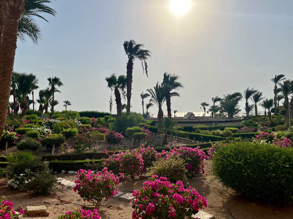 Ausblick Mövenpick Resort & Spa El Gouna