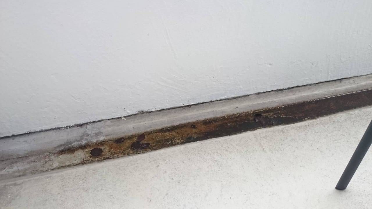 Vermooste Regenrinne  Fletcher Hotel-Restaurant Arnsberg-Sauerland