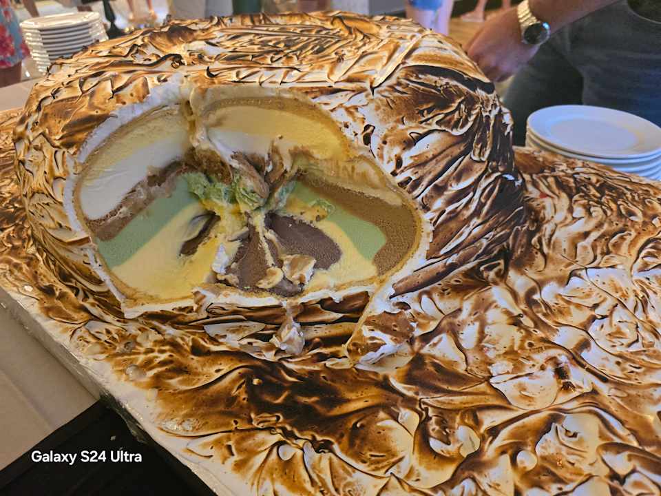 Gastro Seashell Vega