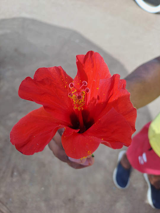 Strand Hurghada Long Beach Resort