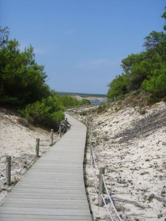 zum Strand Playa Parc Apartments