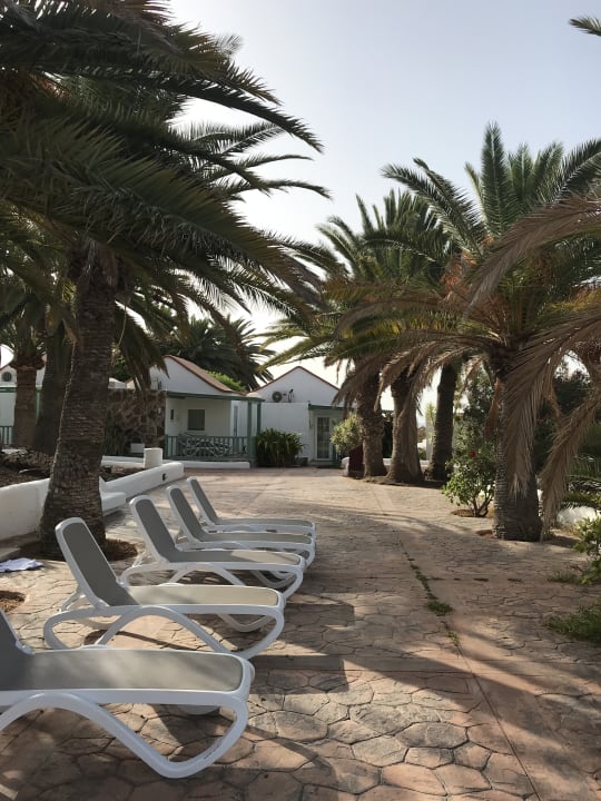 Gartenanlage Aldiana Club Fuerteventura