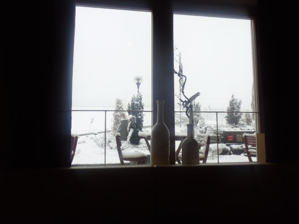 Ausblick beim Frühstücken Ratscher Landhaus