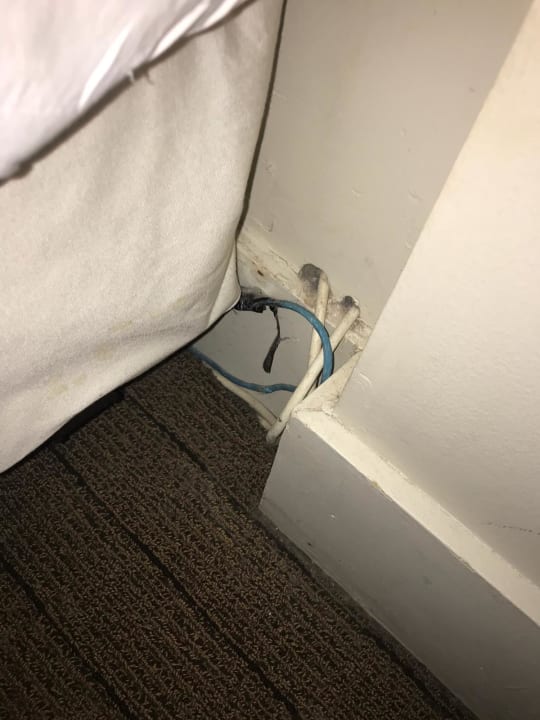 Zimmer New York's Hotel Pennsylvania