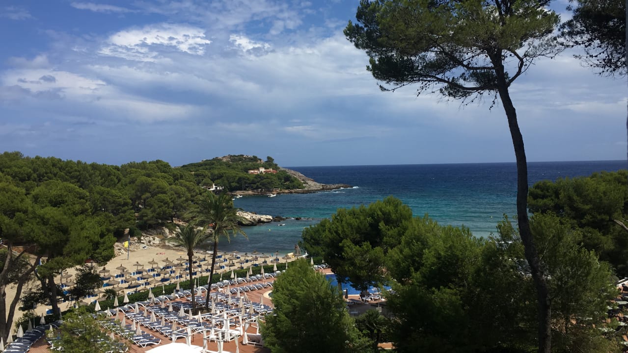 Ausblick AluaSoul Carolina - Adults Only