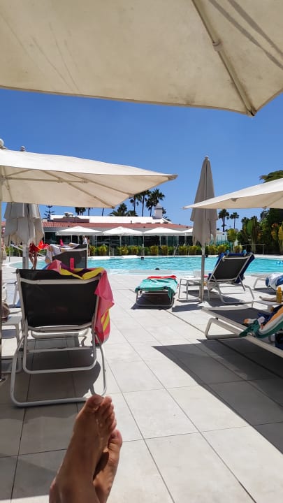 Pool Canary Garden Club