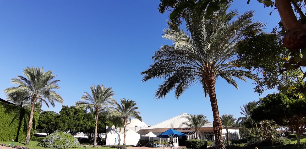 Gartenanlage Desert Rose