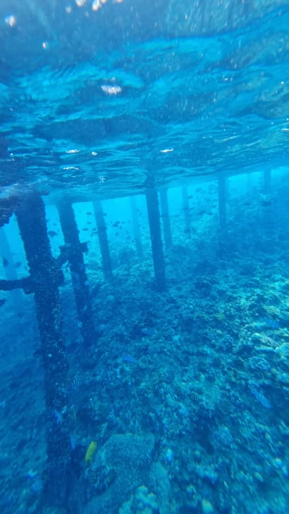 Sport & Freizeit Solymar Reef Marsa