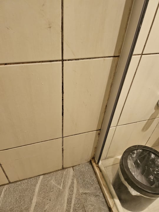 Zimmer Asteria Family Belek