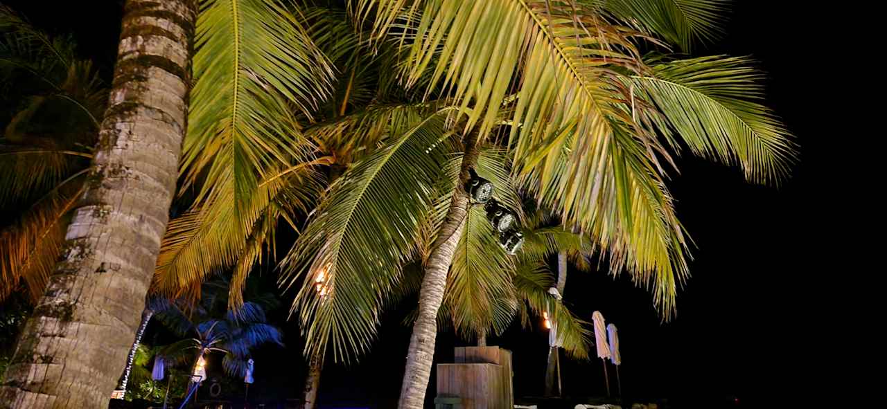 Außenansicht Vilamendhoo Island Resort & Spa