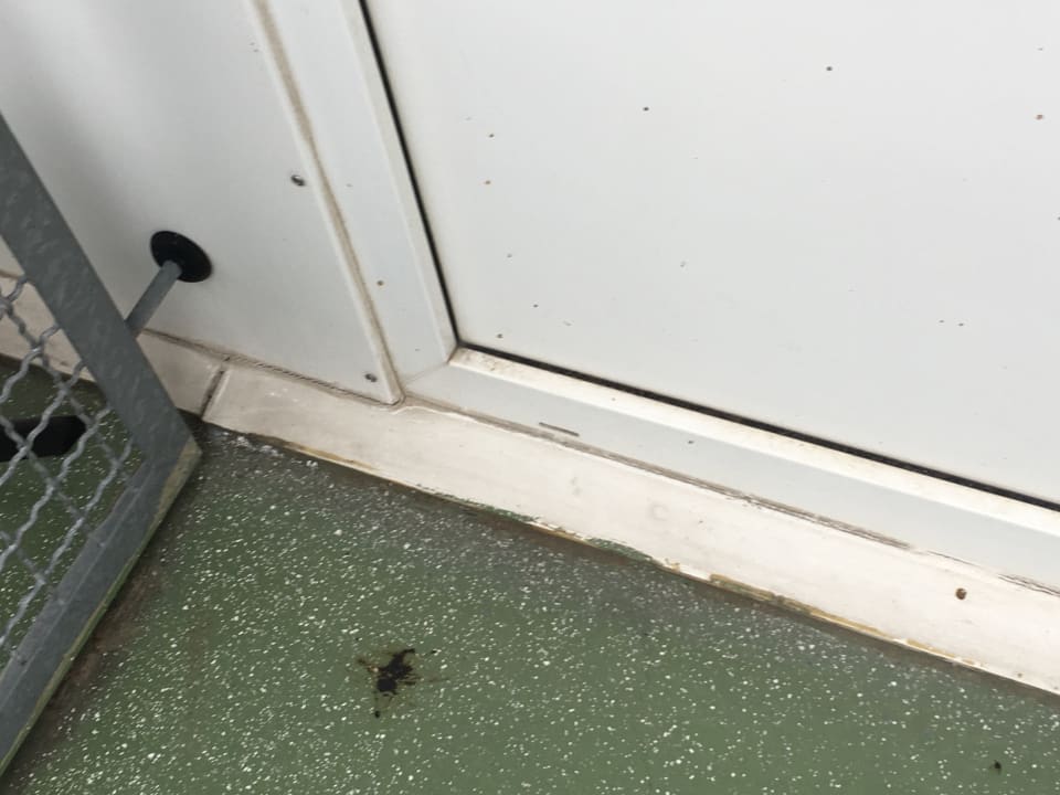 Zimmer Ferienwohnungen Ferienpark Weissenhäuser Strand