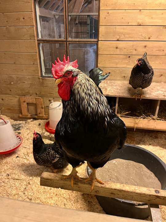 Sport & Freizeit Center Parcs De Kempervennen