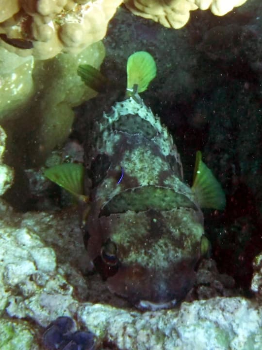 Sport & Freizeit Rohanou Beach Resort