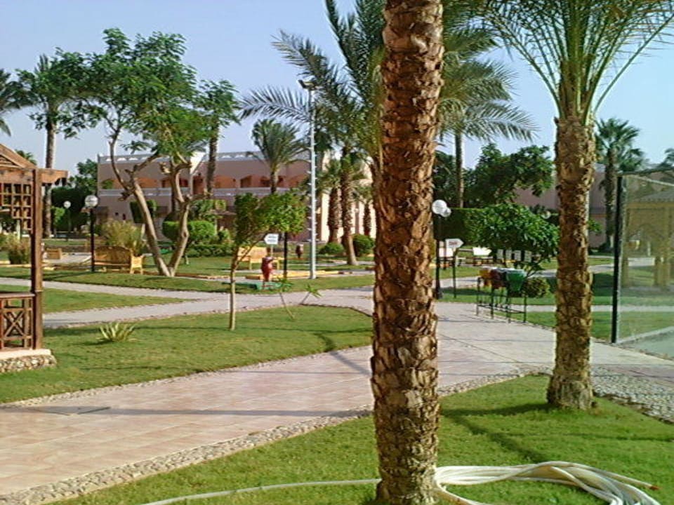Anlage Beach Albatros Resort