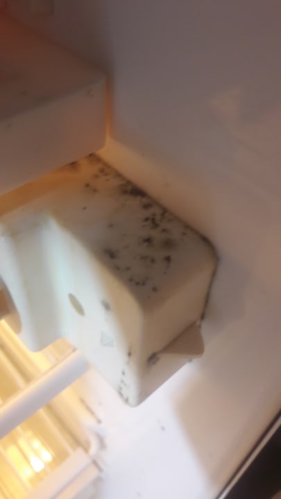 Zimmer Diogenis Blue Palace