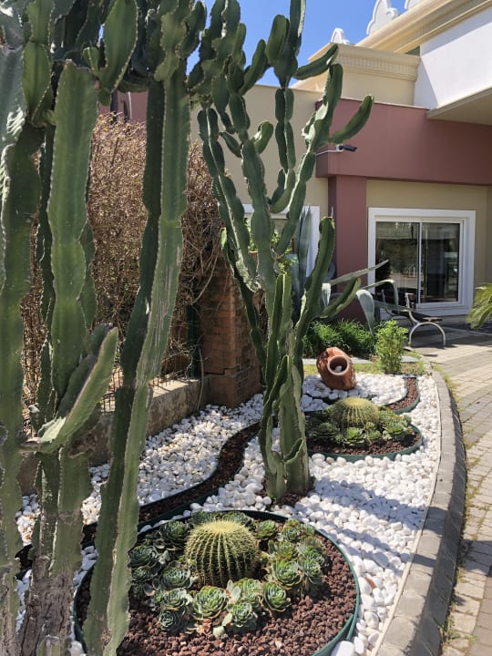 Gartenanlage Adalya Resort & Spa - Adults Only