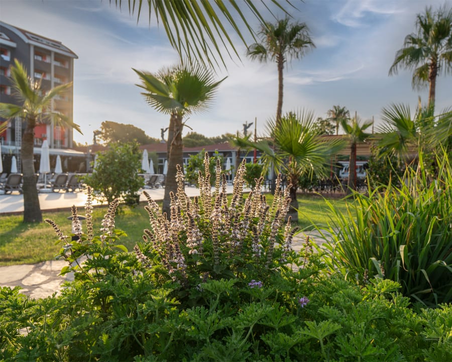 Gartenanlage Casa Fora Beach Resort