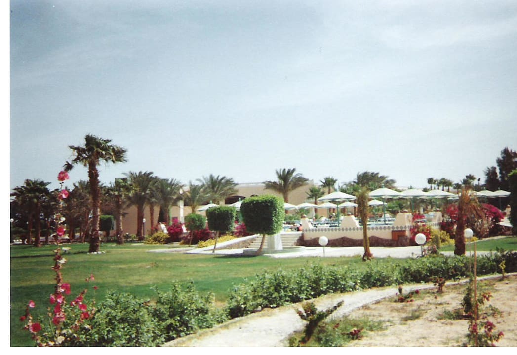 primasol beach albatros Beach Albatros Resort