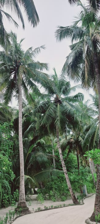 Außenansicht Cinnamon Hakuraa Huraa Maldives