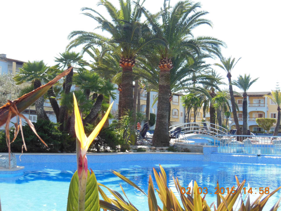 Der Pool Alcudia Garden Aparthotel