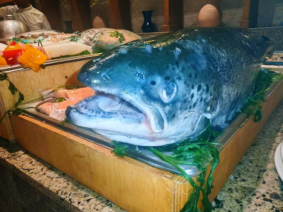 Gastro Jaz Costa Mares (Adults Only)