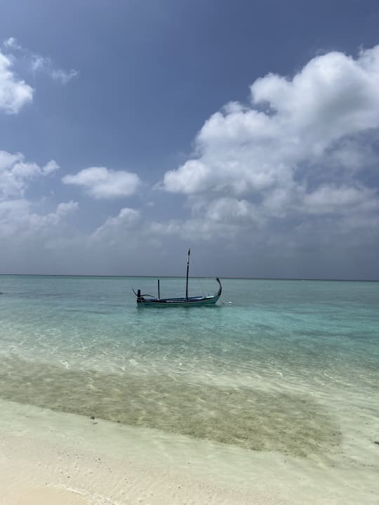 Strand Summer Island Maldives