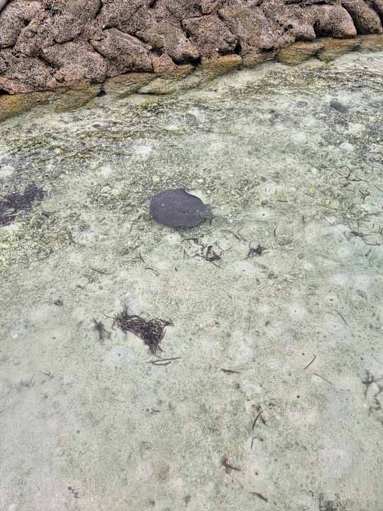 Sonstiges Kuredu Island Resort & Spa