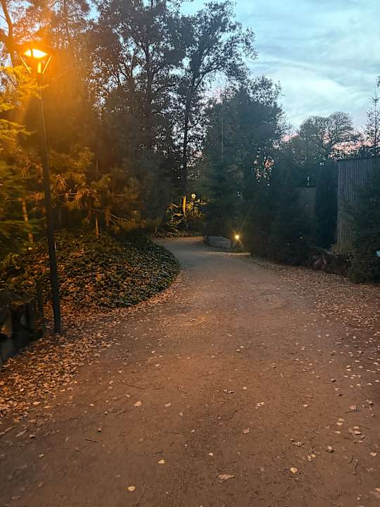 Gartenanlage EuroParcs Maasduinen