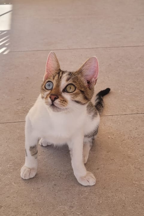 Sonstiges Bodrum Park Resort