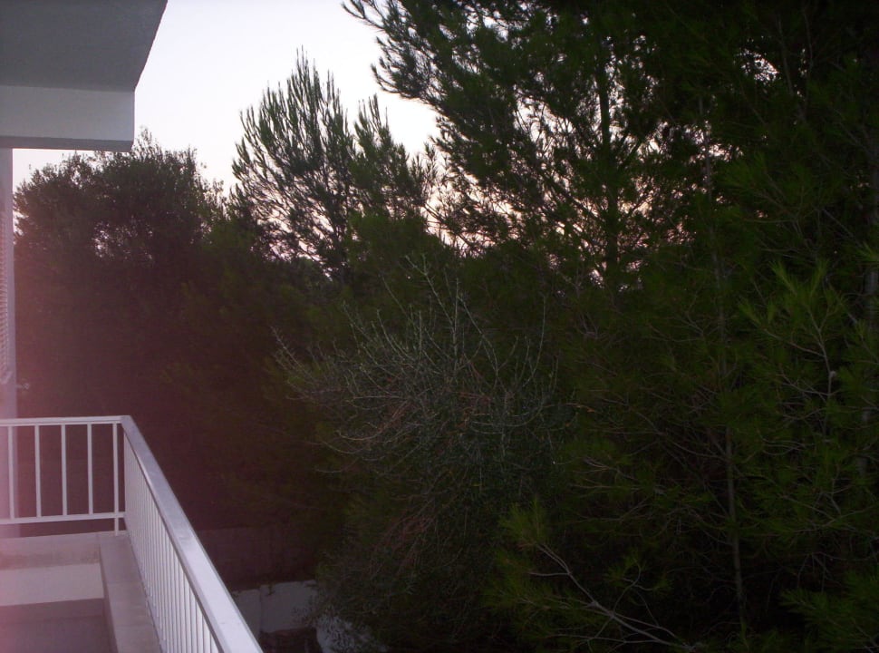 Blick vom apartment balkon Hotel Exagon Park