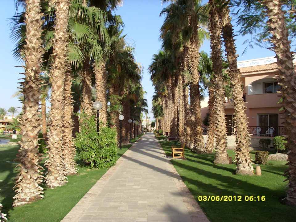 Weg zu den Bungalows Beach Albatros Resort