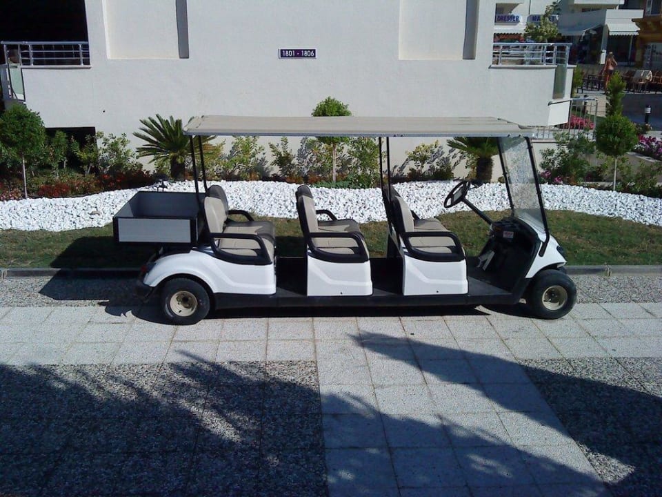 Buggy Dream Family Club