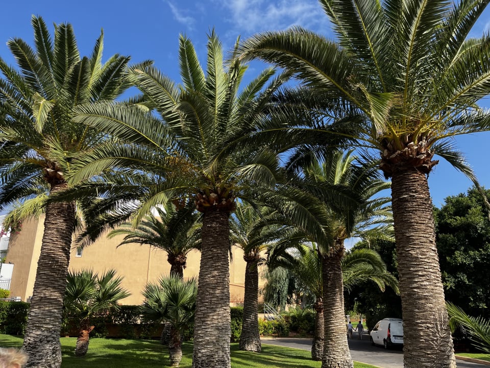 Gartenanlage Anissa Beach & Village