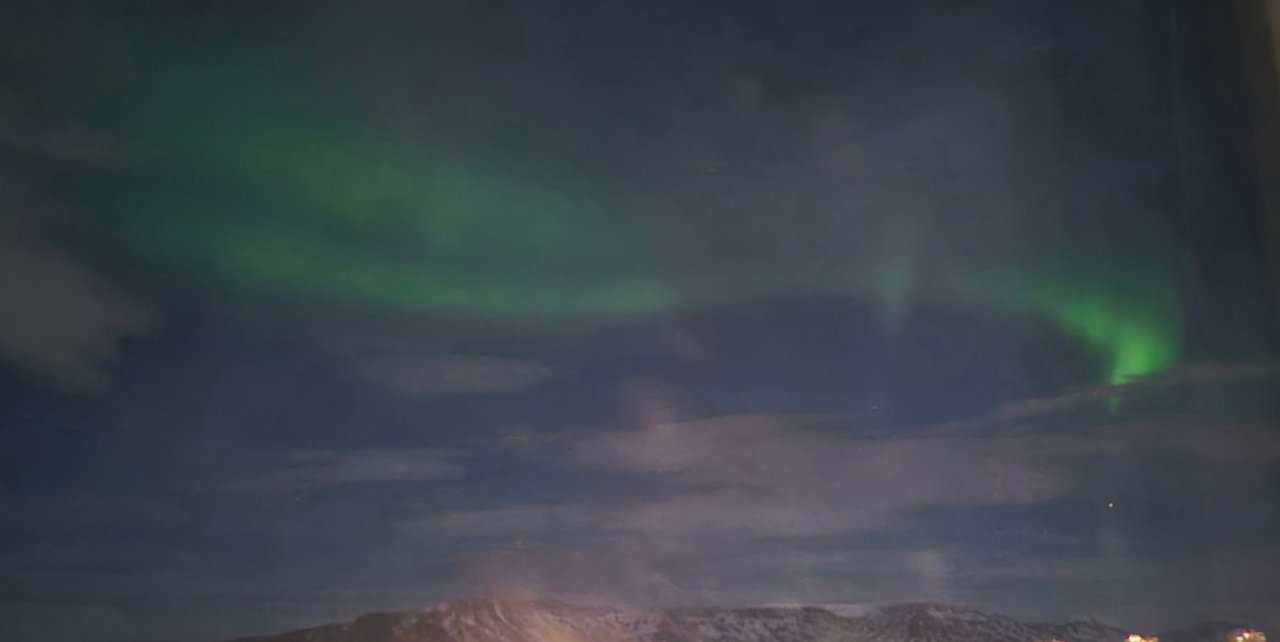 Ausblick Hilton Reykjavik Nordica