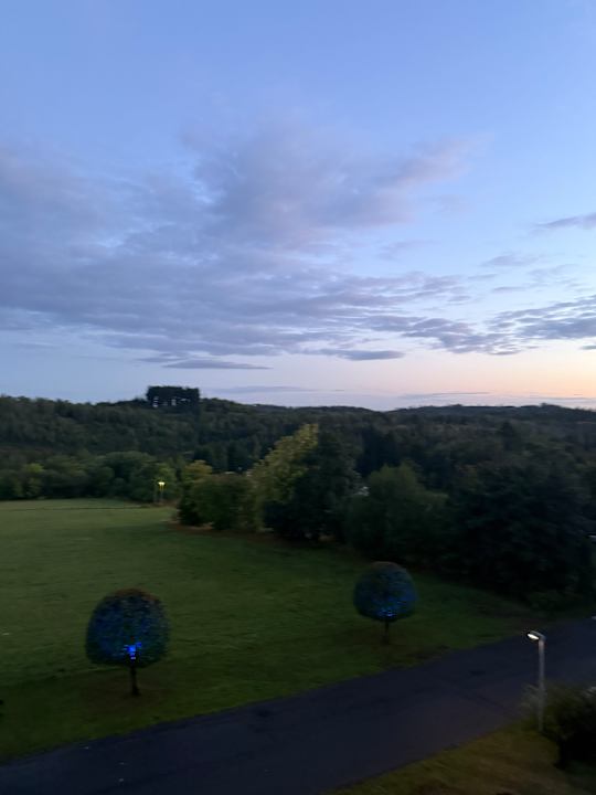 Ausblick Harmonie Hotel Rust