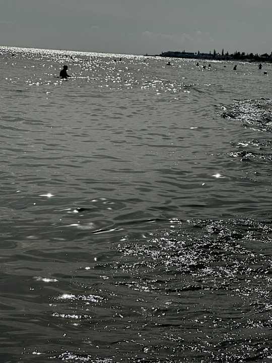 Strand Sentido Bellevue Park