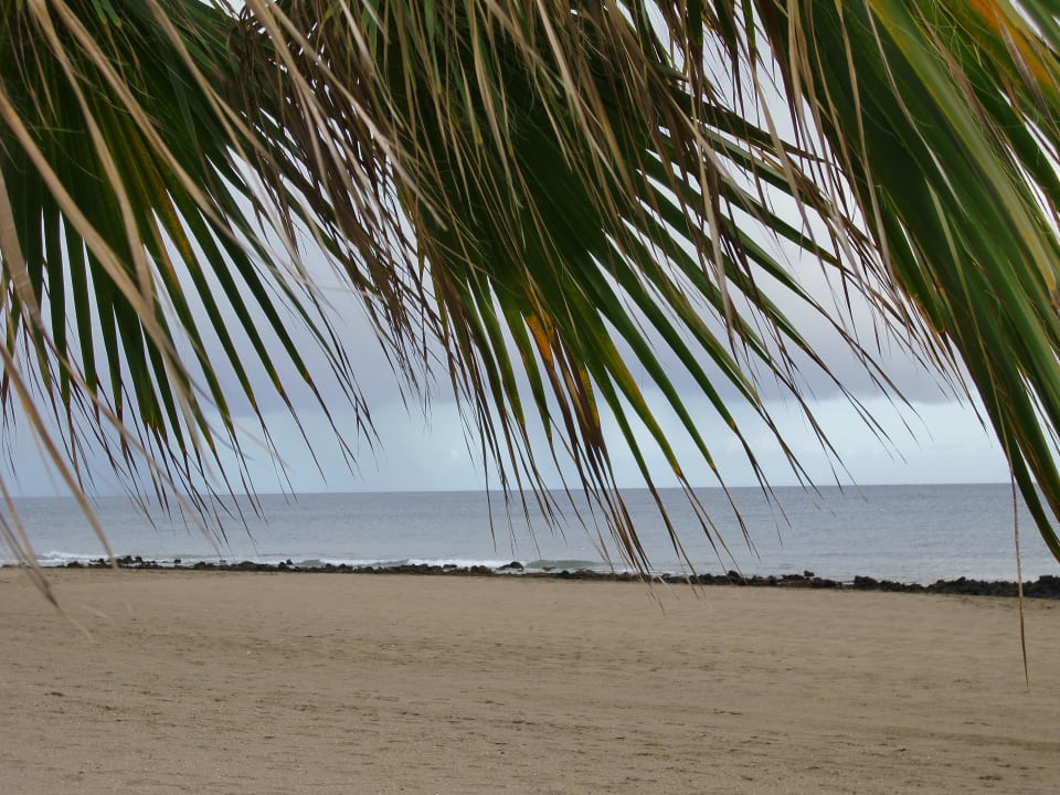 Strand Hotel La Geria Hipotels La Geria