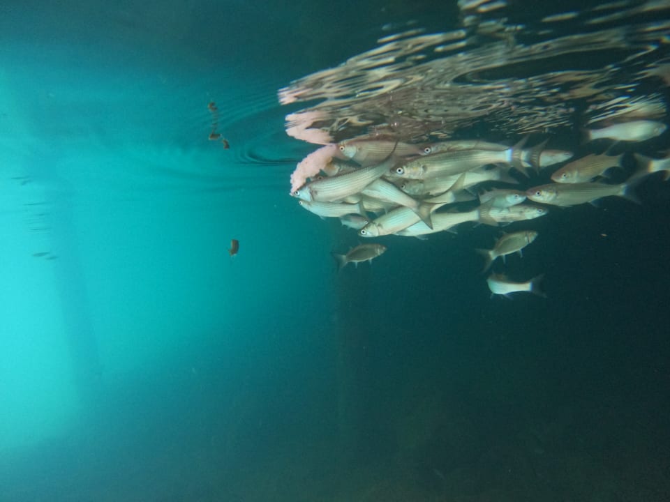 Sport & Freizeit La Blanche Island Bodrum