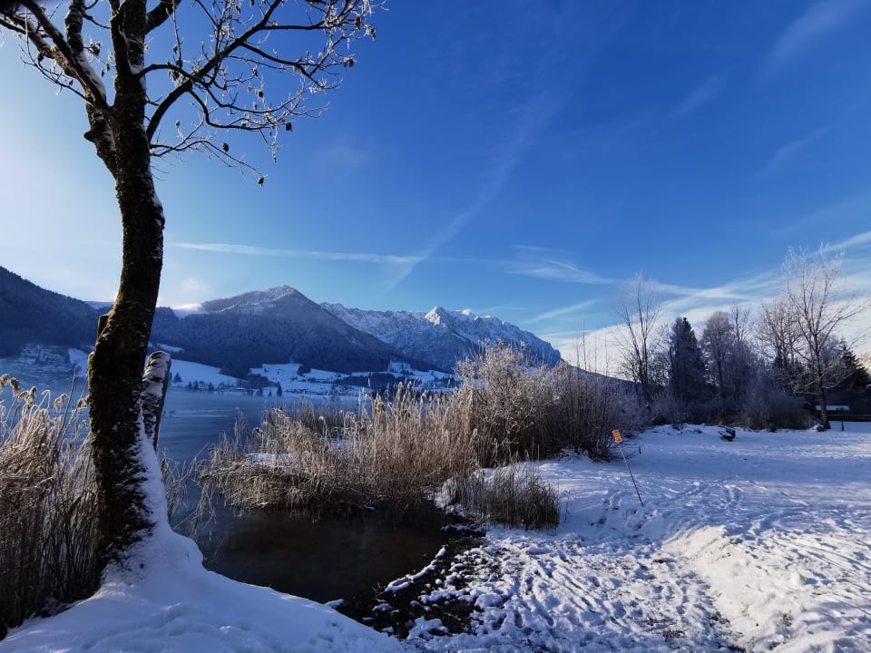 Außenansicht Hotel Bellevue am See