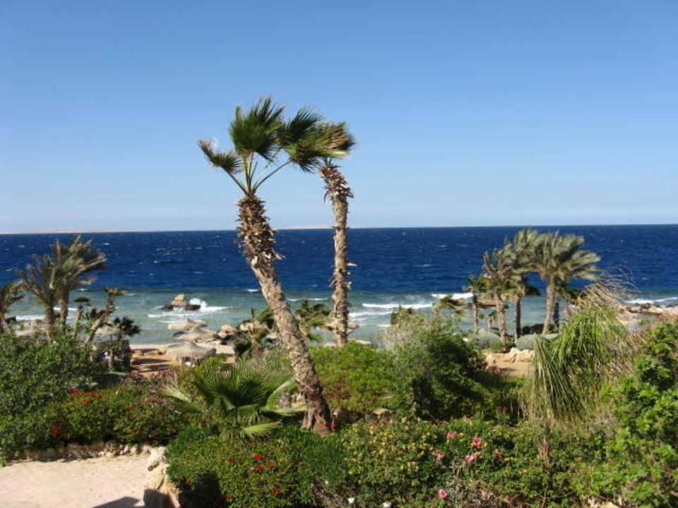 Zum Träumen Pickalbatros Citadel Resort