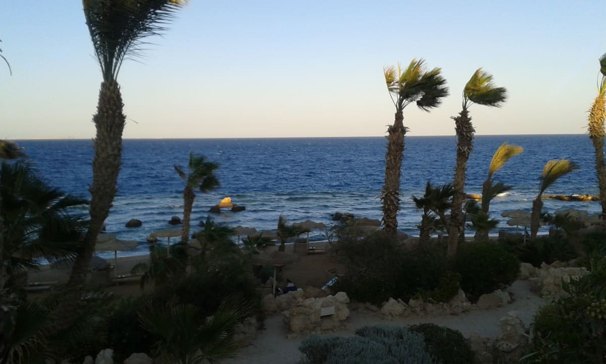 Strand Pickalbatros Citadel Resort