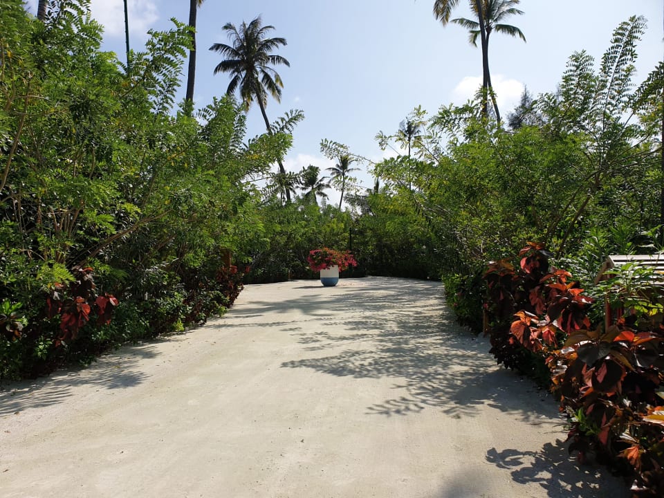 Gartenanlage TUI BLUE Olhuveli Romance