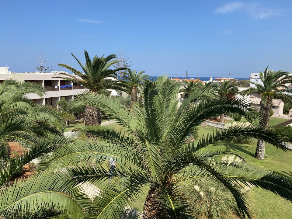 Gartenanlage allsun Hotel Malia Beach