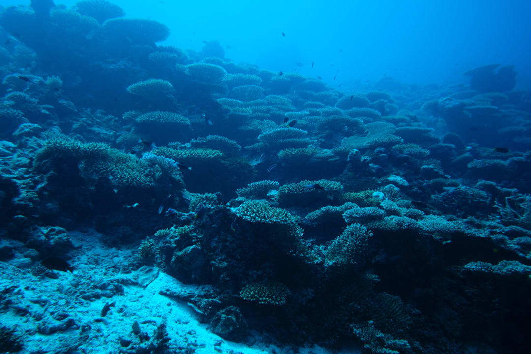 Sport & Freizeit NH Collection Maldives Havodda Resort