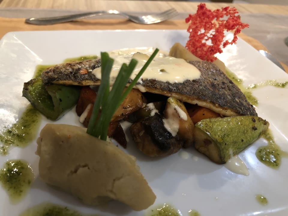 Gastro HVD Viva Club Hotel