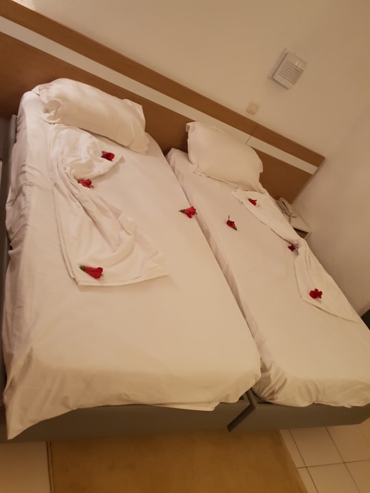 Zimmer Monarque Dar Jerba Zahra