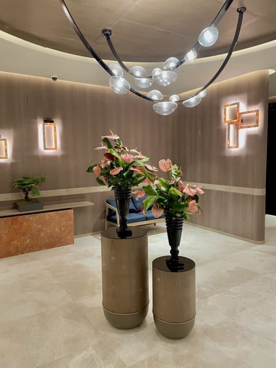 Sonstiges Arycanda Kirman Premium